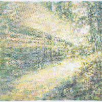 Light-through-the-trees