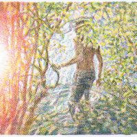 Red-flare-at-pond1